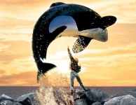 Freewilly